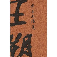 看上去很美——王朔文集