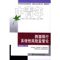 跨国银行系统性风险监管论