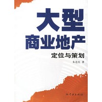 大型商业地产：定位与策划