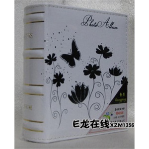 靓影 仿皮相册影集 4D/6D/大6寸相册100张 花蝴蝶 白底黑色