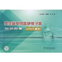 架空送电线路绝缘子串组装图集(220KV部分)