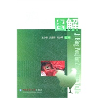 鸡病剖检诊断图解