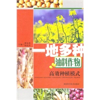一地多种油料作物高效种植模式