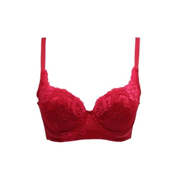 ></p></a>  安莉芳内衣专卖店: 拥有36年历史的 安莉芳于1975年创办于香港