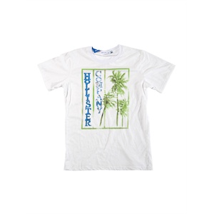 JoyNew 2011时尚风潮 Hollister椰子树图案 男T恤