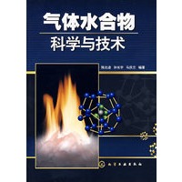 气体水合物科学与技术