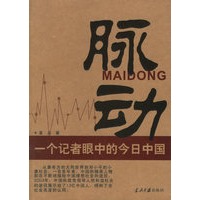 脉动：一个记者眼中的今日中国