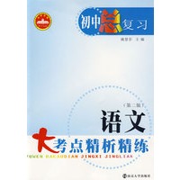 大考点精析精练：初中总复习（语文）