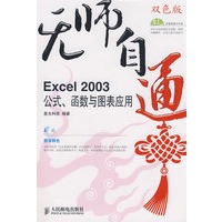 无师自通——Excel 2003公式、函数与图表应用