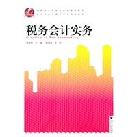 税务会计实务