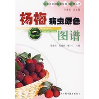 杨梅病虫原色图谱/无公害果树病虫鉴别与治理丛书