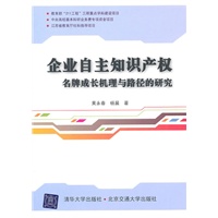 企业自主知识产权名牌成长机理与路径的研究