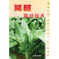 莴苣栽培技术
