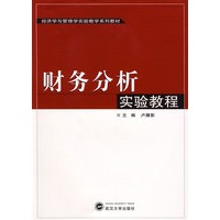 财务分析实验教程