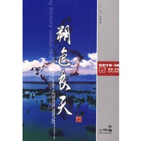 朔色长天