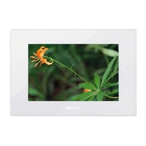 【当当自营】 SONY 索尼 DPF-HD800 数码相框 白色 2G 8英寸