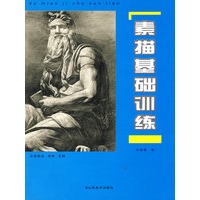 丛艺起点-素描基础训练