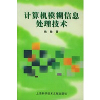 计算机模糊信息处理技术