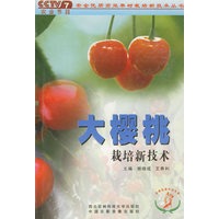 大樱桃栽培新技术
