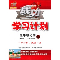 九年级化学下：鲁教版（2010年9月印刷）成功学习计划