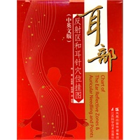 耳部反射区和耳针穴位挂图