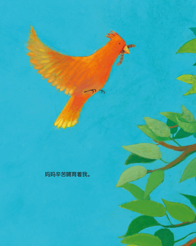 插图