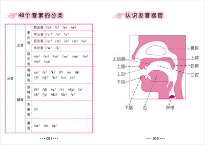 英语写作教案模板英文_英语小学备课教案模板_小学英语英文教案模板