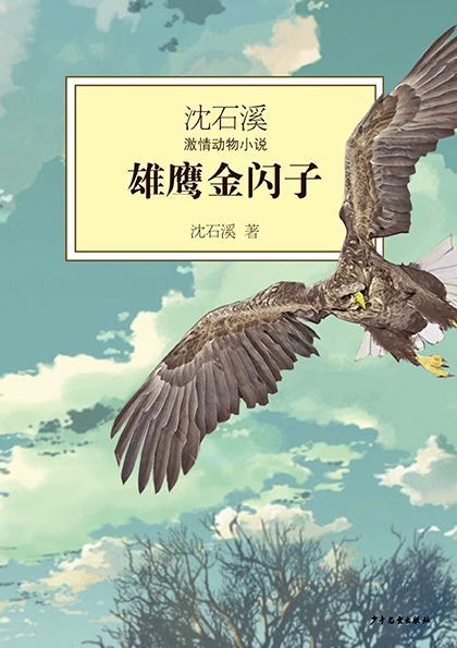 插图
