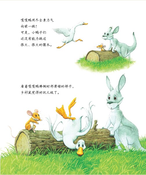 插图