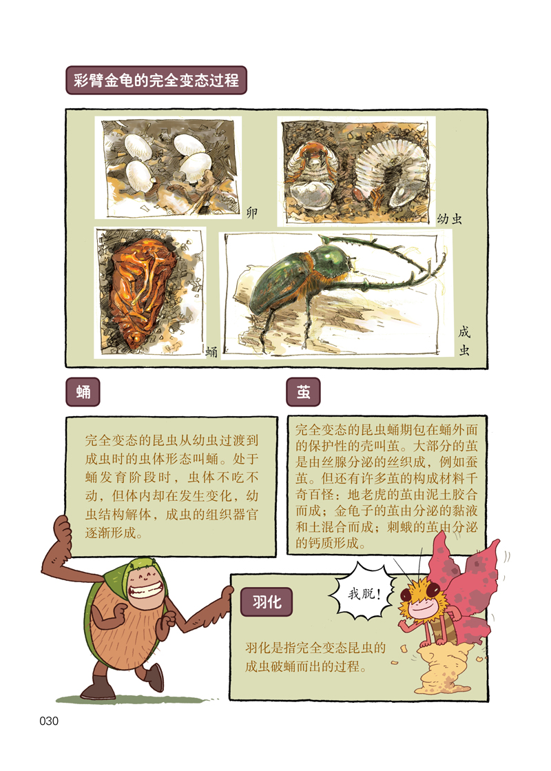 文章内容 酷虫学校作文|酷虫学校作文300字 酷虫学校的作者简介