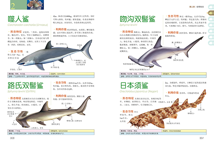 中国之美 自然生态图鉴 中国鱼类图鉴