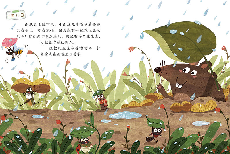 插图