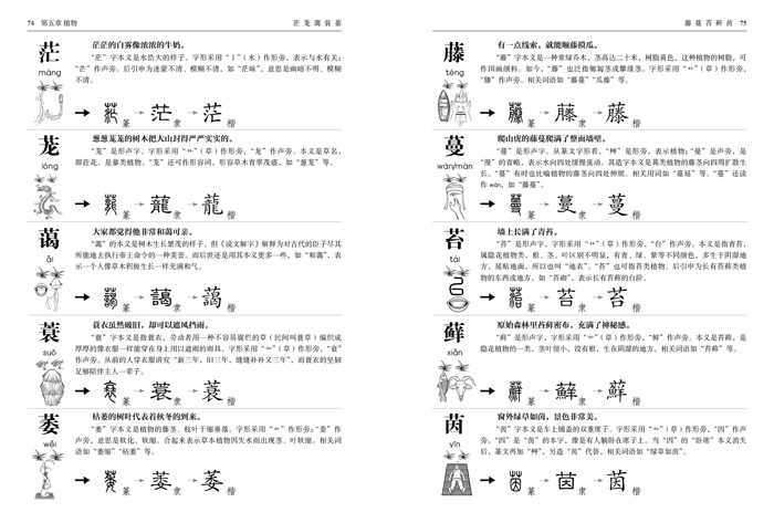 图解"说文解字"画说汉字(小学版)3～4年级