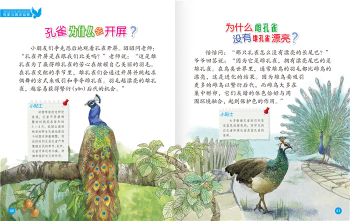 插图