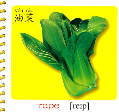 蔬菜:聪明宝宝成长认知书(撕不烂卡片书)