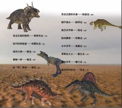 我的野生动物明星-梦幻恐龙