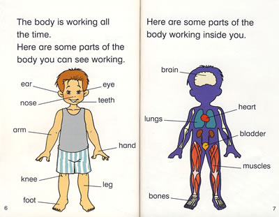 身体各部位名称 Www Dingjisc Com