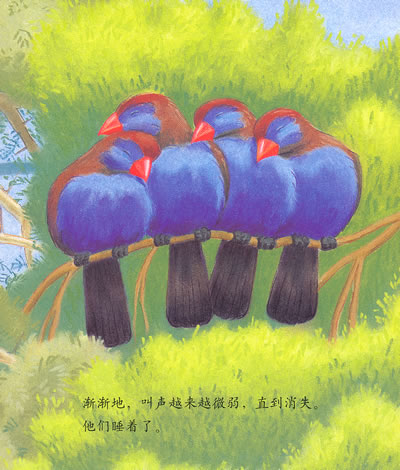 插图