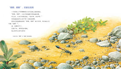 插图
