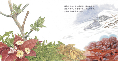 这儿有洞,那儿也有洞——大自然中的洞 插图