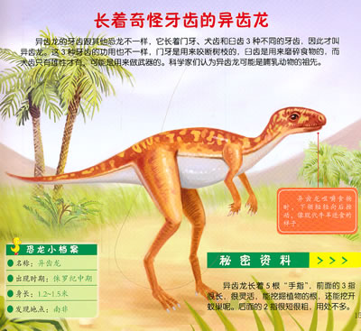 童眼识天下--恐龙王国(让小孩从小认识世界)\/博文文化-图书杂志-少儿-7-10岁 | 网购-拍拍网