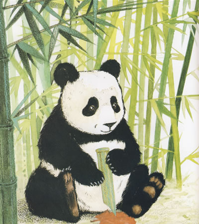 插图