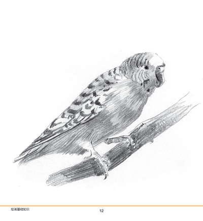 一日一画·素描--超值完全本-图书杂志-生活-期刊杂志 | 网购-拍拍网