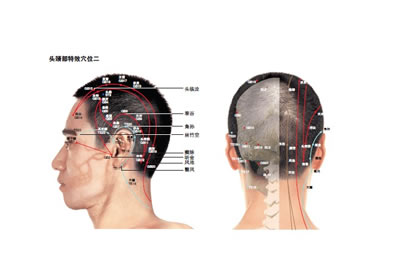 人体局部特效穴位画册