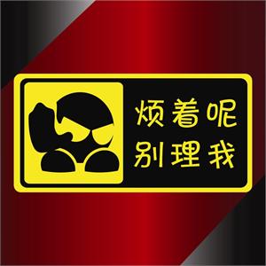 家有爱车 烦着呢别理我 反光警示贴/车身贴/贴纸/车贴/反光贴 a14