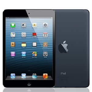 Apple苹果 iPad mini wifi版 16G
