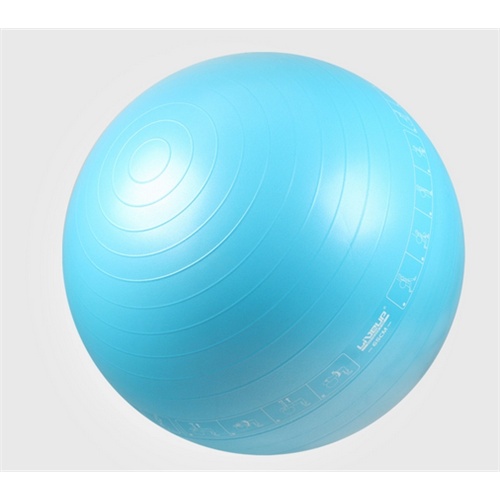 加厚防爆65cm瑜伽健身球yoga瑜珈减肥瘦身孕妇分娩-运动户外-手机当当