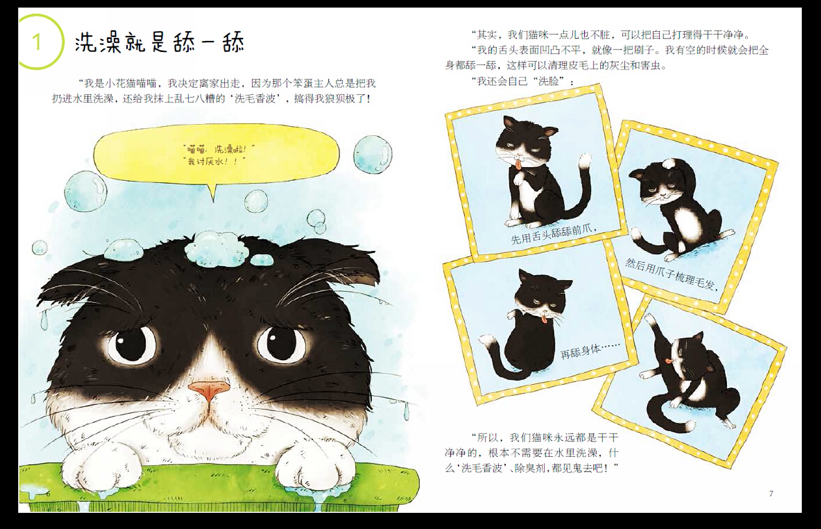 动物的秘密丛书套装(共6本)