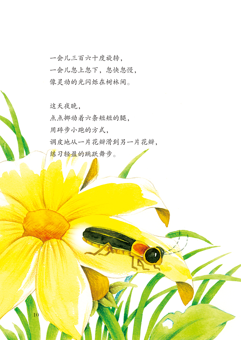 法布尔昆虫记:彩虹绘本馆(全10册)