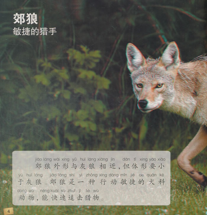 20151029171446682.jpg